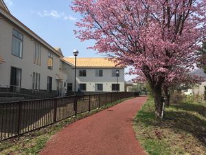 桜木と施設の外観