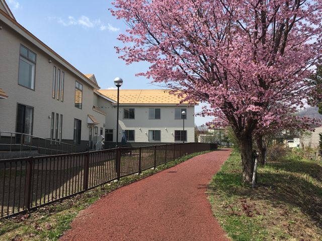 桜木と施設の外観 周辺 桜の花が咲く穏やかな通路が、心地よい散策を約束します。明るい日差しの元で過ごすひとときを想像してみてください。