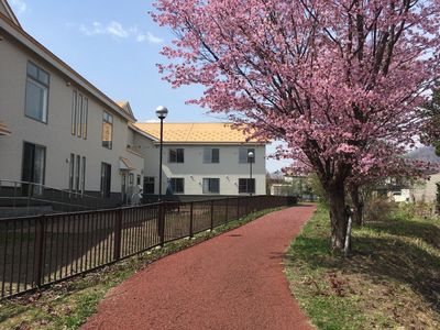 桜木と施設の外観
