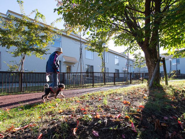 散歩する人と犬の建物 遊歩道 朝の光に照らされて、庭を散歩する人の穏やかな一コマです。