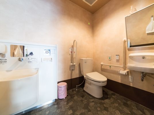 オストメイト対応のトイレが完備されている。トイレ内は広いスペースがある。鏡付きの洗面台が設置されている。