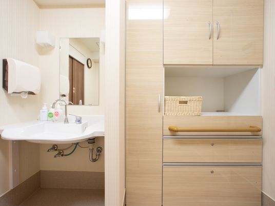 清潔な洗面台と収納