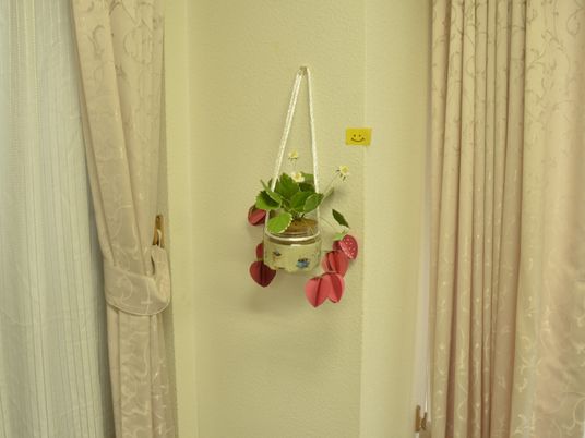 壁に飾られた観葉植物