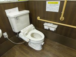 手すり付きトイレの機能性