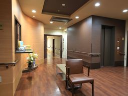 明るい廊下の様子