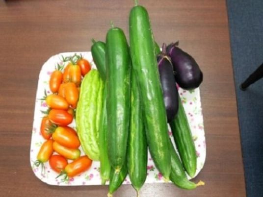 新鮮な野菜が並ぶトレー