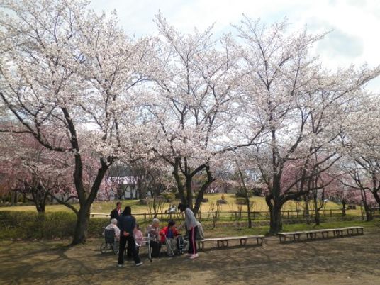 桜並木と散策する人々