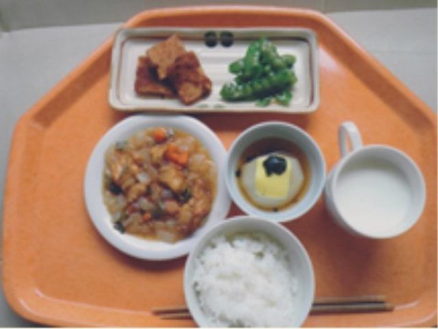 バランスの良い食事内容 食事 彩り豊かな食事が並ぶ食堂では、栄養バランスを考えたメニューを提供し、利用者の健康を支えています。