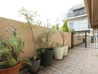 中庭の植物とタイル