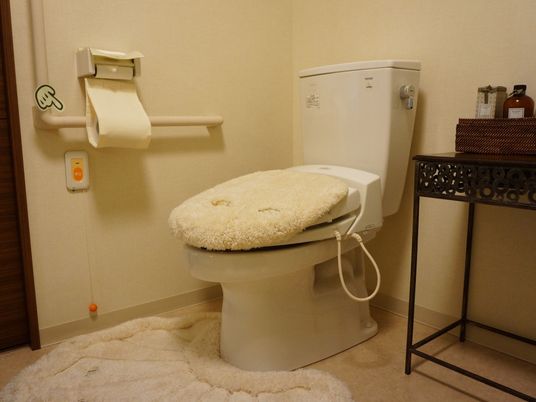 清潔なトイレの様子