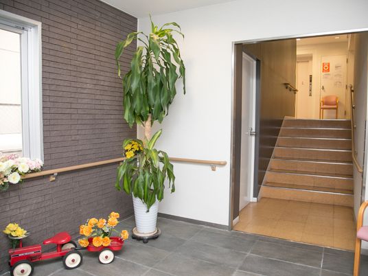 エントランスの手すりと植物