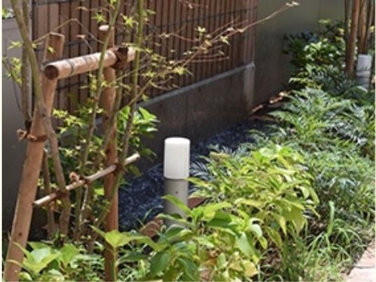 緑豊かな施設の中庭