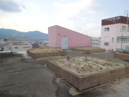 都市の景色の屋上空間