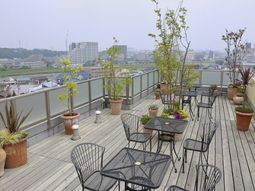 テラスと植物の景観