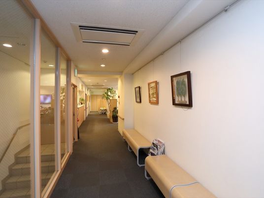 清潔感ある明るい廊下
