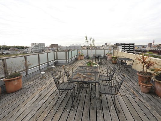 屋上テラスの植物と家具