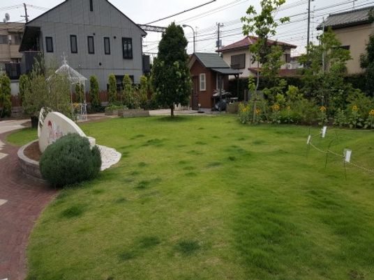 緑豊かな施設の庭