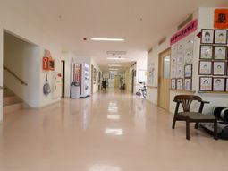 明るい廊下と掲示物