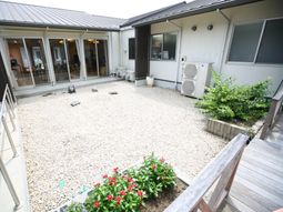 中庭の植物と明るい空間