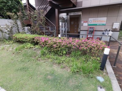 緑あふれるエントランス