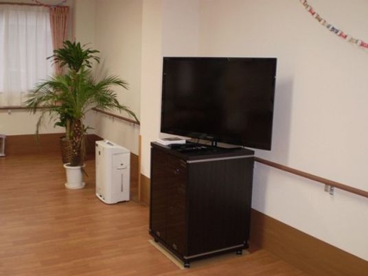 テレビと植物のある部屋