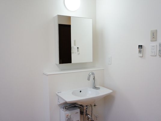 清潔な洗面台と鏡