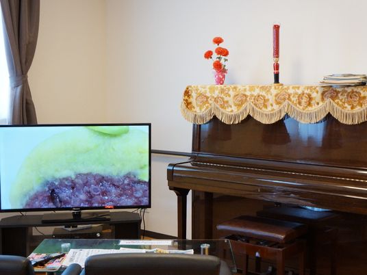 ピアノとテレビの居室