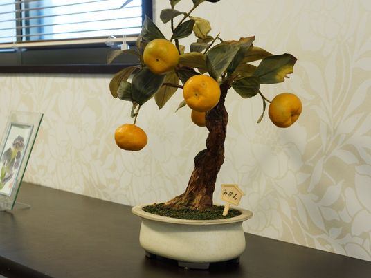 盆栽が飾られた和室