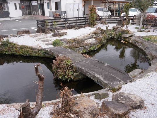 静かな池のある庭  