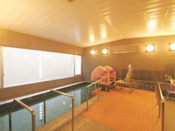 ゆったりした浴室の様子