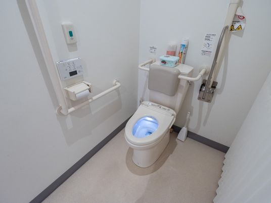 手すり付きの清潔なトイレ