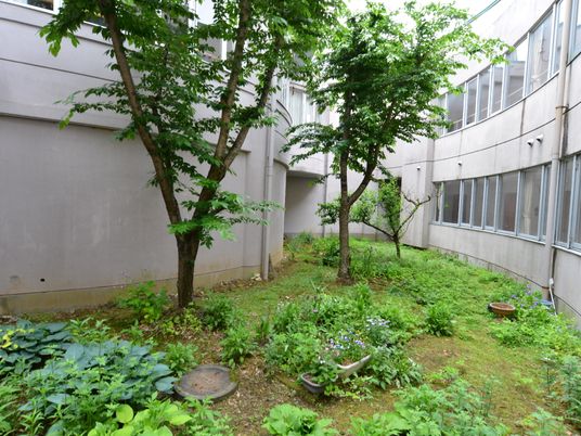 中庭の緑豊かな景観