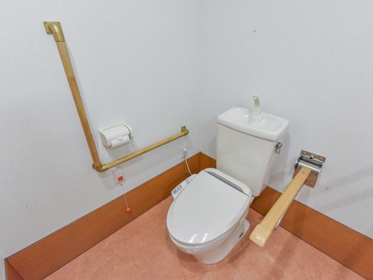 手すり付きトイレ