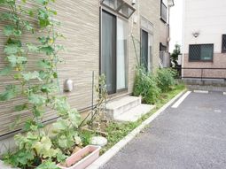 緑が生い茂る建物の外観