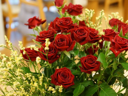赤い薔薇の花束