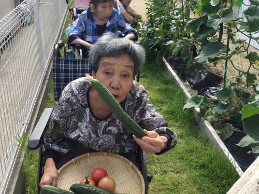 野菜を収穫する高齢者