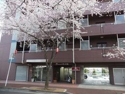 桜並木のある建物正面