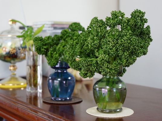 緑の植物と小物が置かれた棚