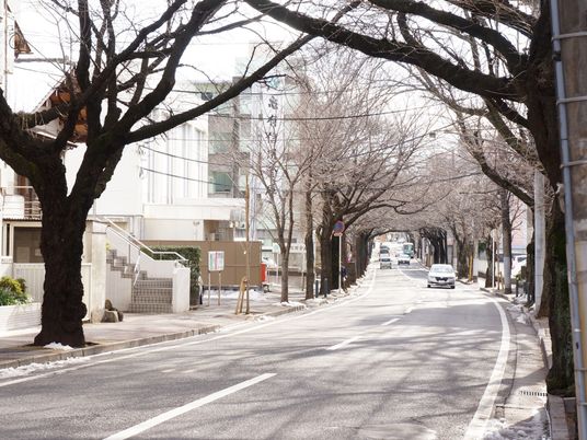 木陰の静かな街並み
