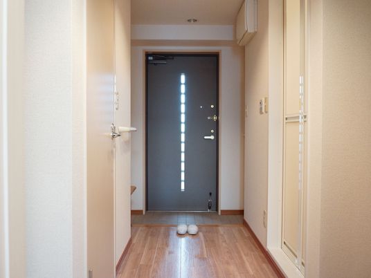 清潔な居室の玄関