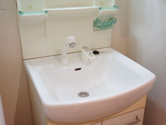 清潔な洗面台