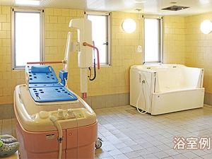 浴槽と入浴機器の浴室  