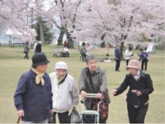 散歩する人々と桜