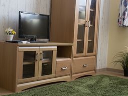 居室のテレビと家具