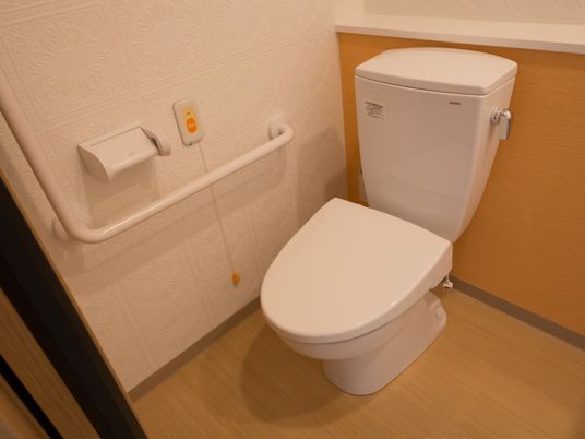 手すり付き清潔なトイレ