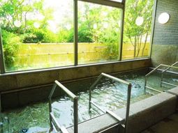 緑を望む明るい浴室