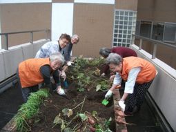 屋上での園芸活動