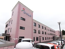 ピンクの壁の外観