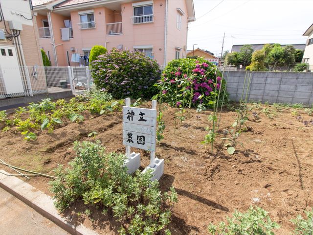 花と緑のある中庭 農園 ゆとりのある中庭では、季節の花々に囲まれながら園芸活動も楽しめ、癒しの時間を提供しています。