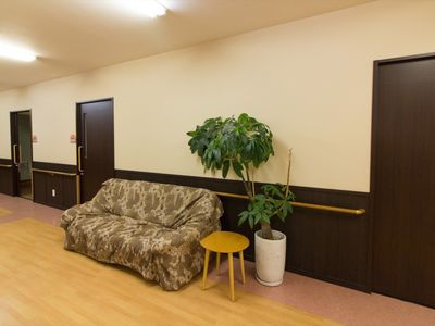 廊下と植物のあるソファ